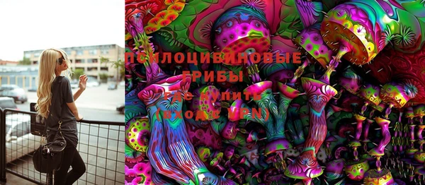 ГАЛЛЮЦИНОГЕННЫЕ ГРИБЫ Видное
