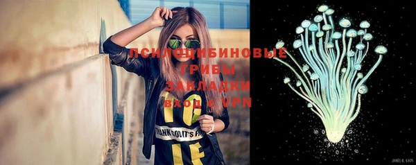 дживик Киреевск