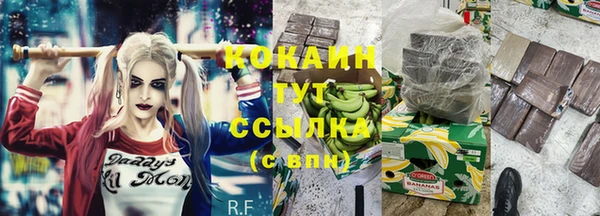 метадон Магас
