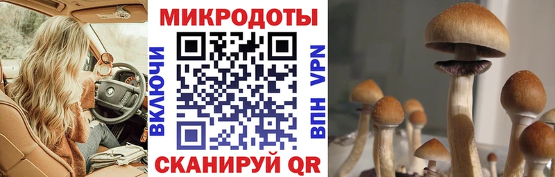 мориарти наркотические препараты  Княгинино  Псилоцибиновые грибы Psilocybine cubensis 