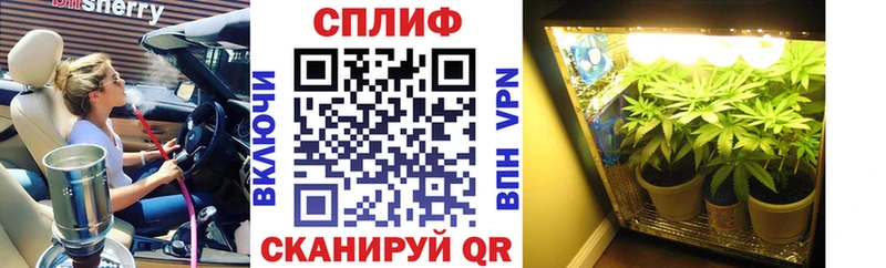 MEGA маркетплейс  Княгинино  Марихуана план  купить  